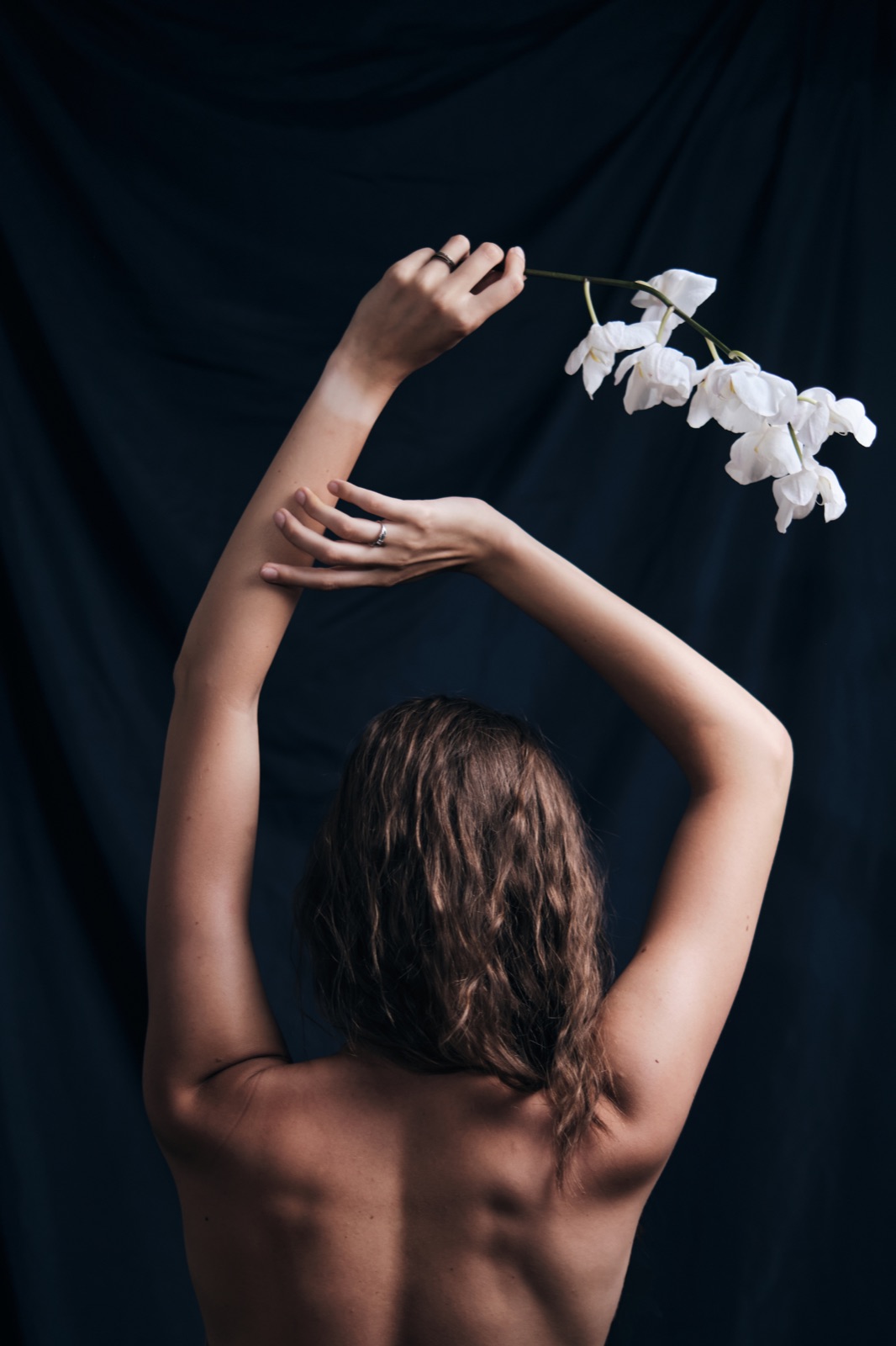 Живи цветя и жива фотография на Botanical Exposure